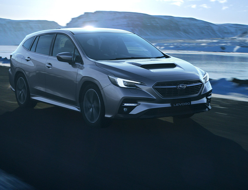 LEVORG