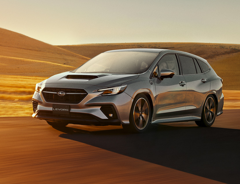 LEVORG